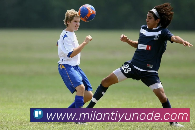 米兰体育APP 封面图